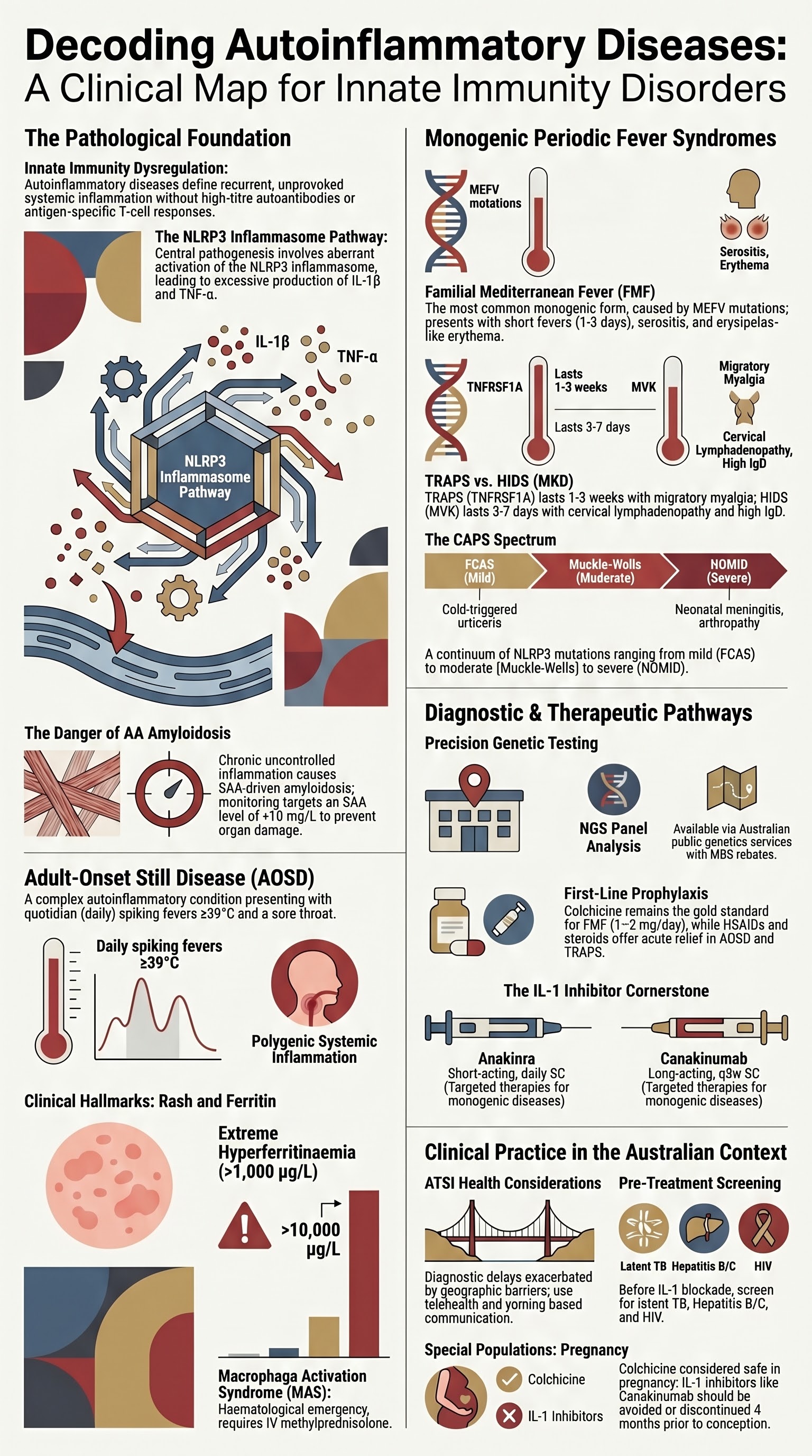 Autoinflammatory Diseases visual summary infographic