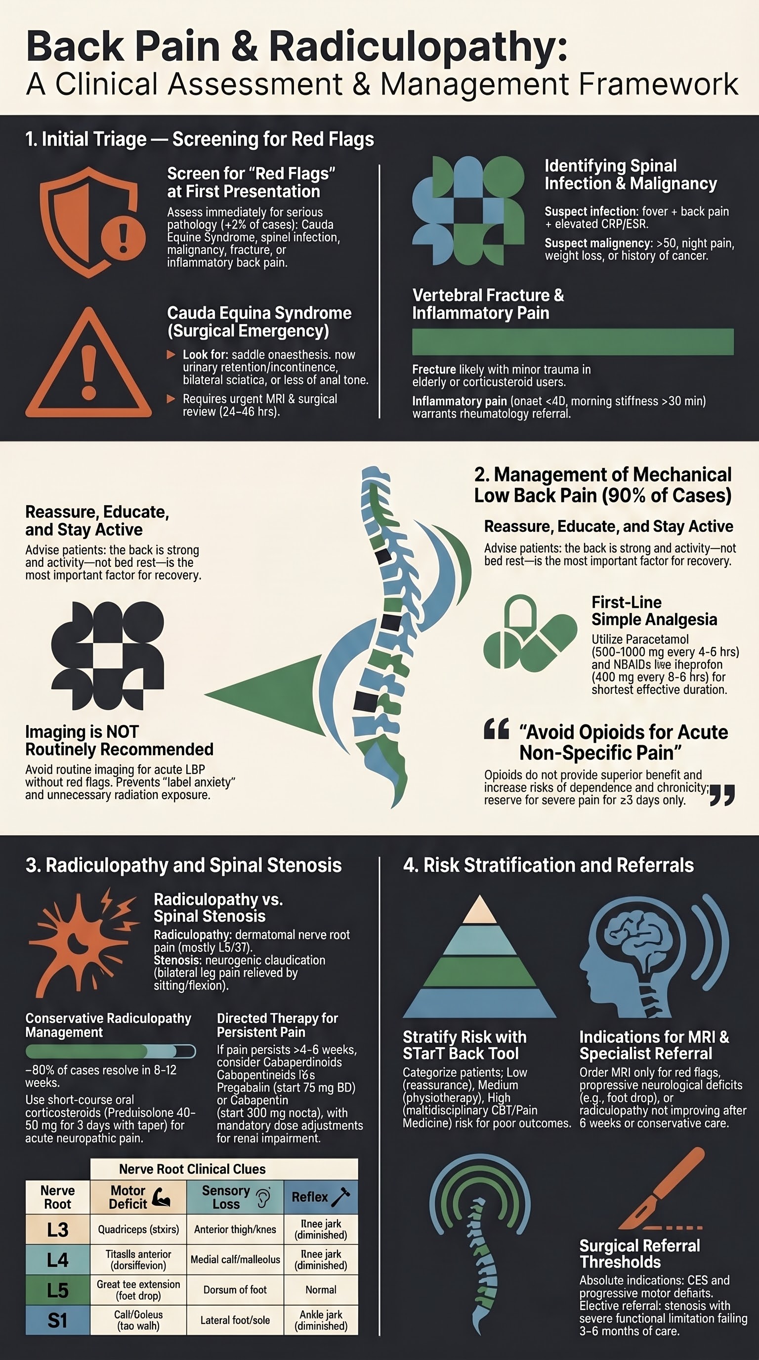 Back Pain & Radiculopathy visual summary infographic