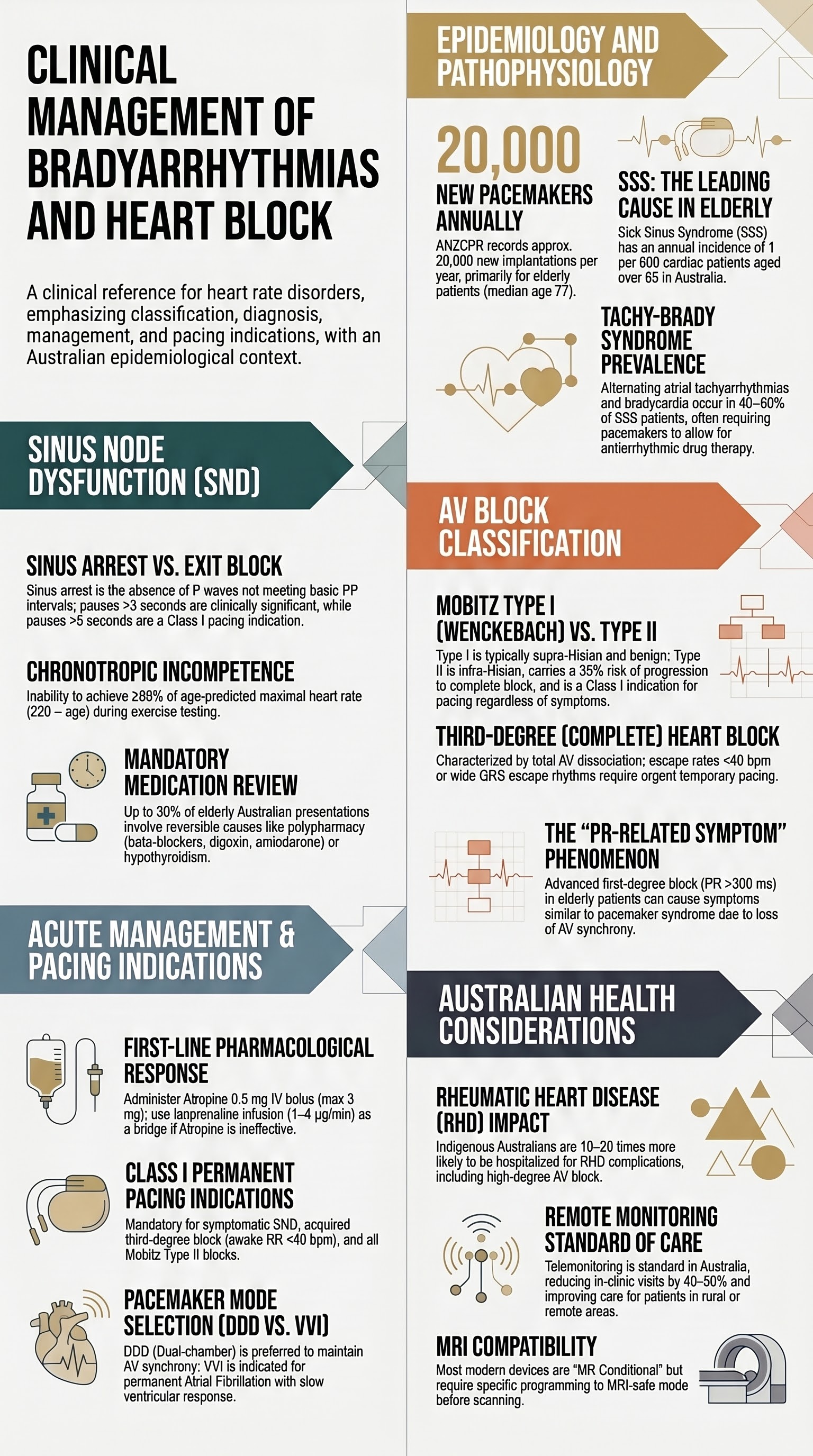 Bradyarrhythmias and Heart Block visual summary infographic