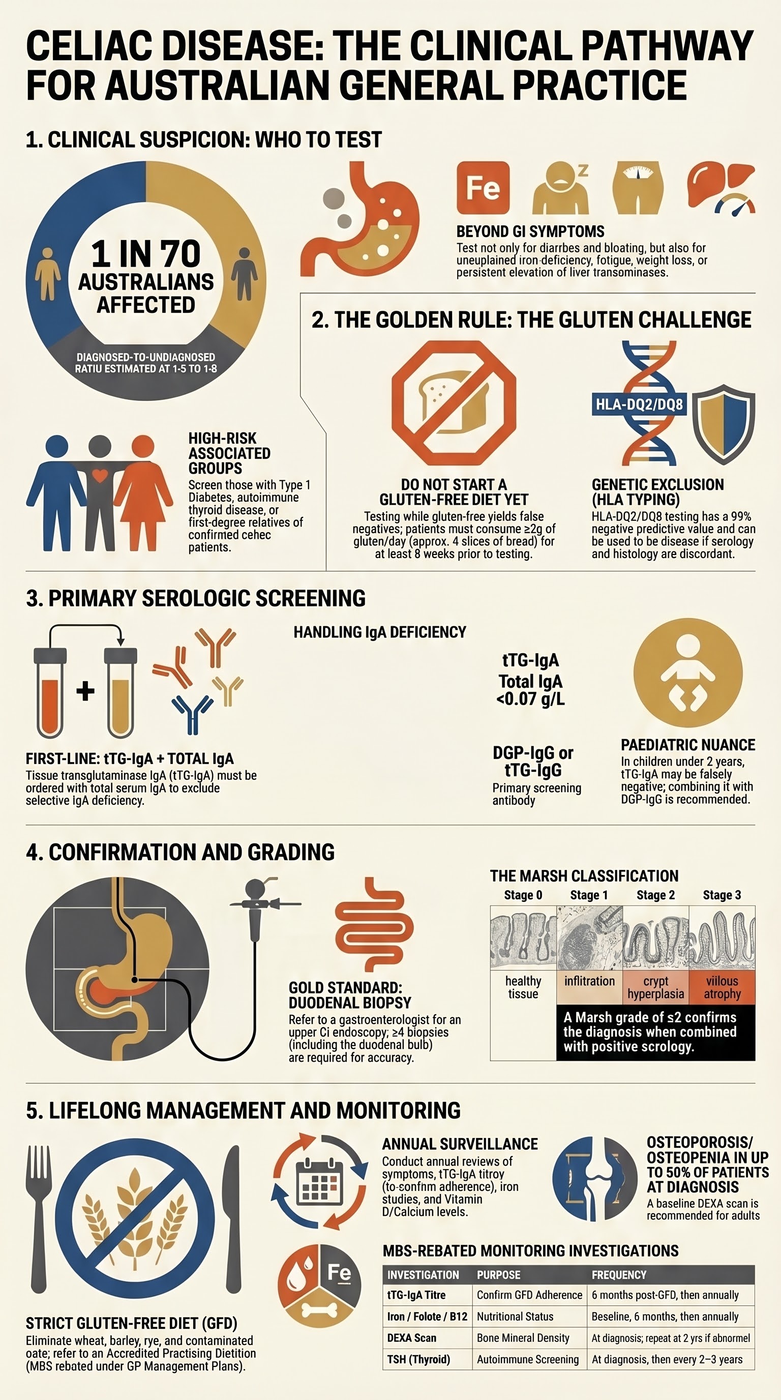 Celiac Disease visual summary infographic