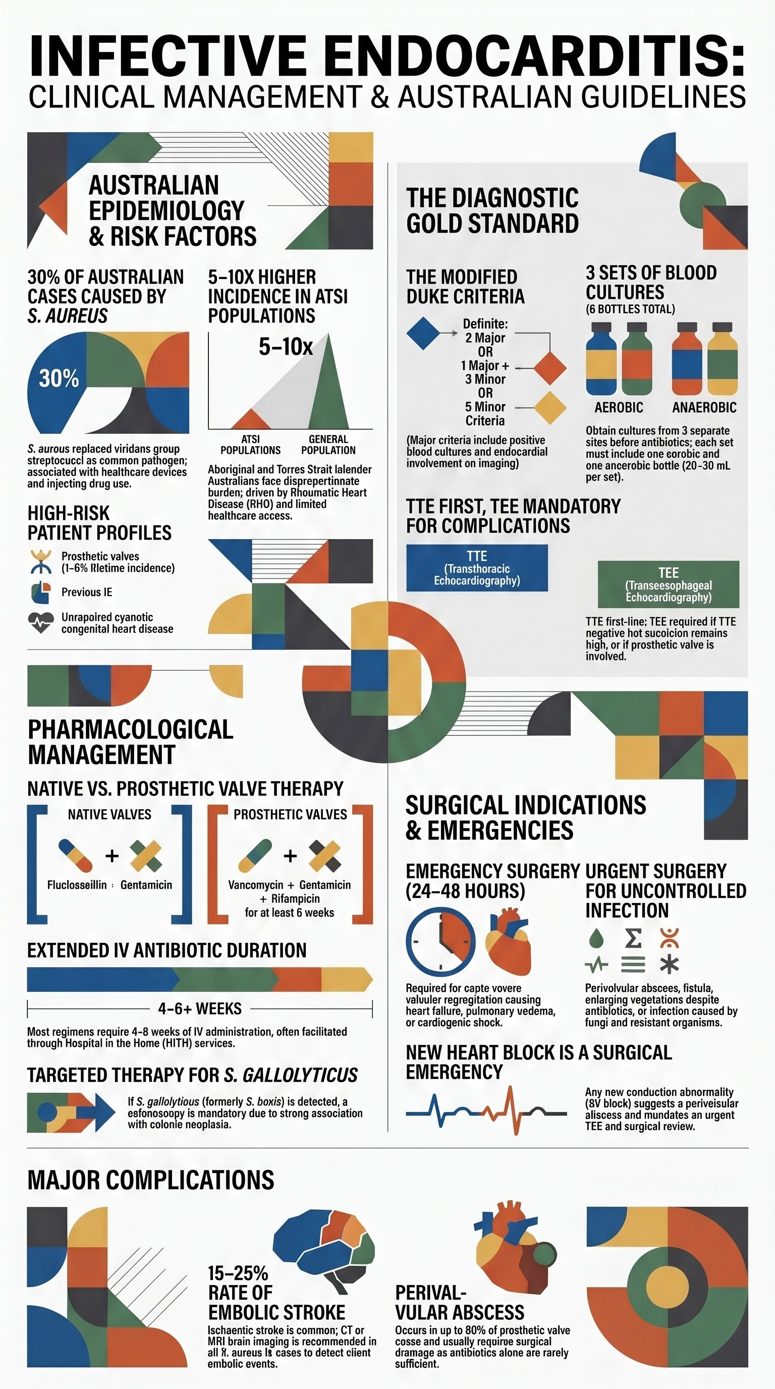 Infective Endocarditis visual summary infographic