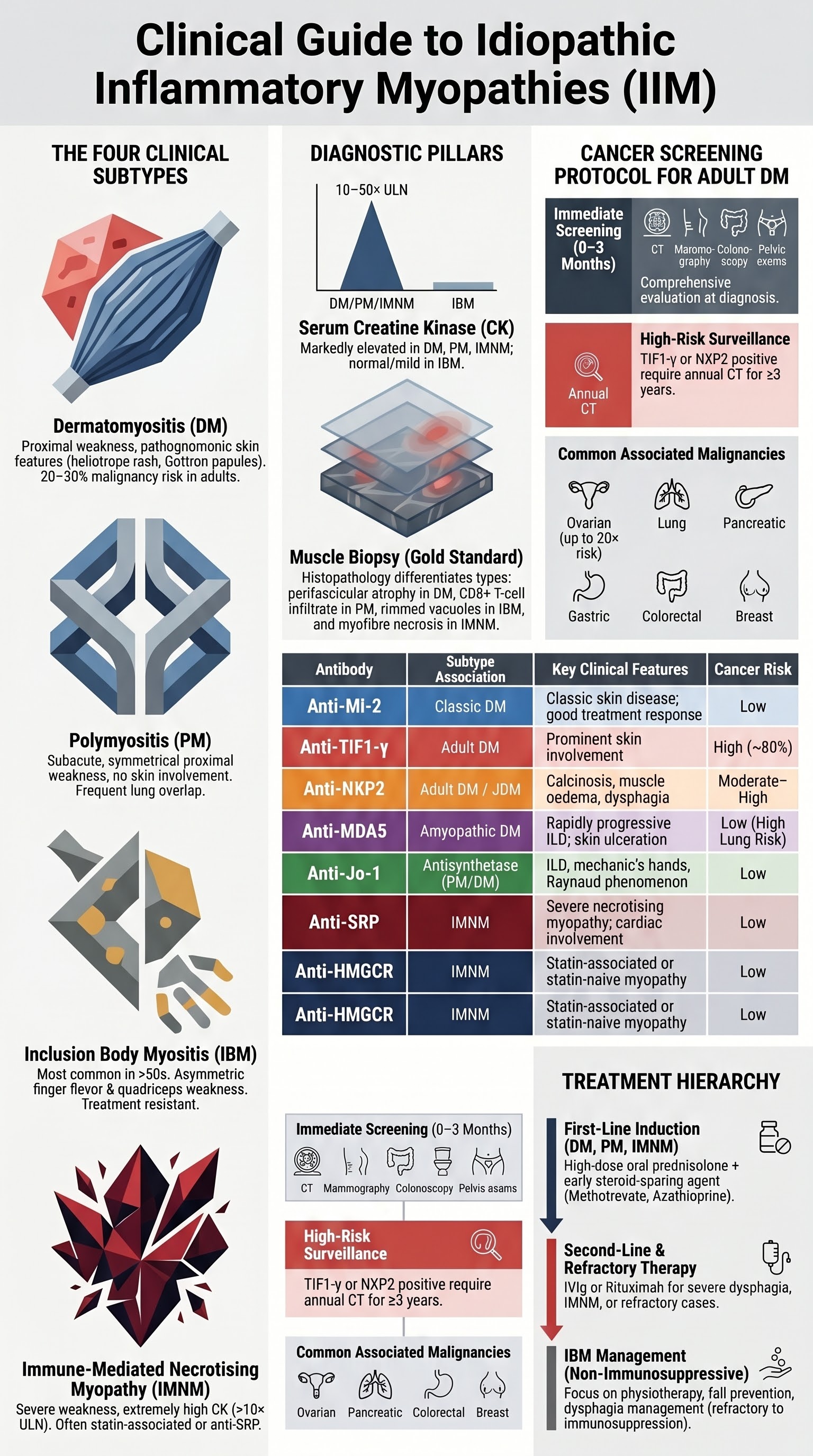 Inflammatory Myopathies visual summary infographic