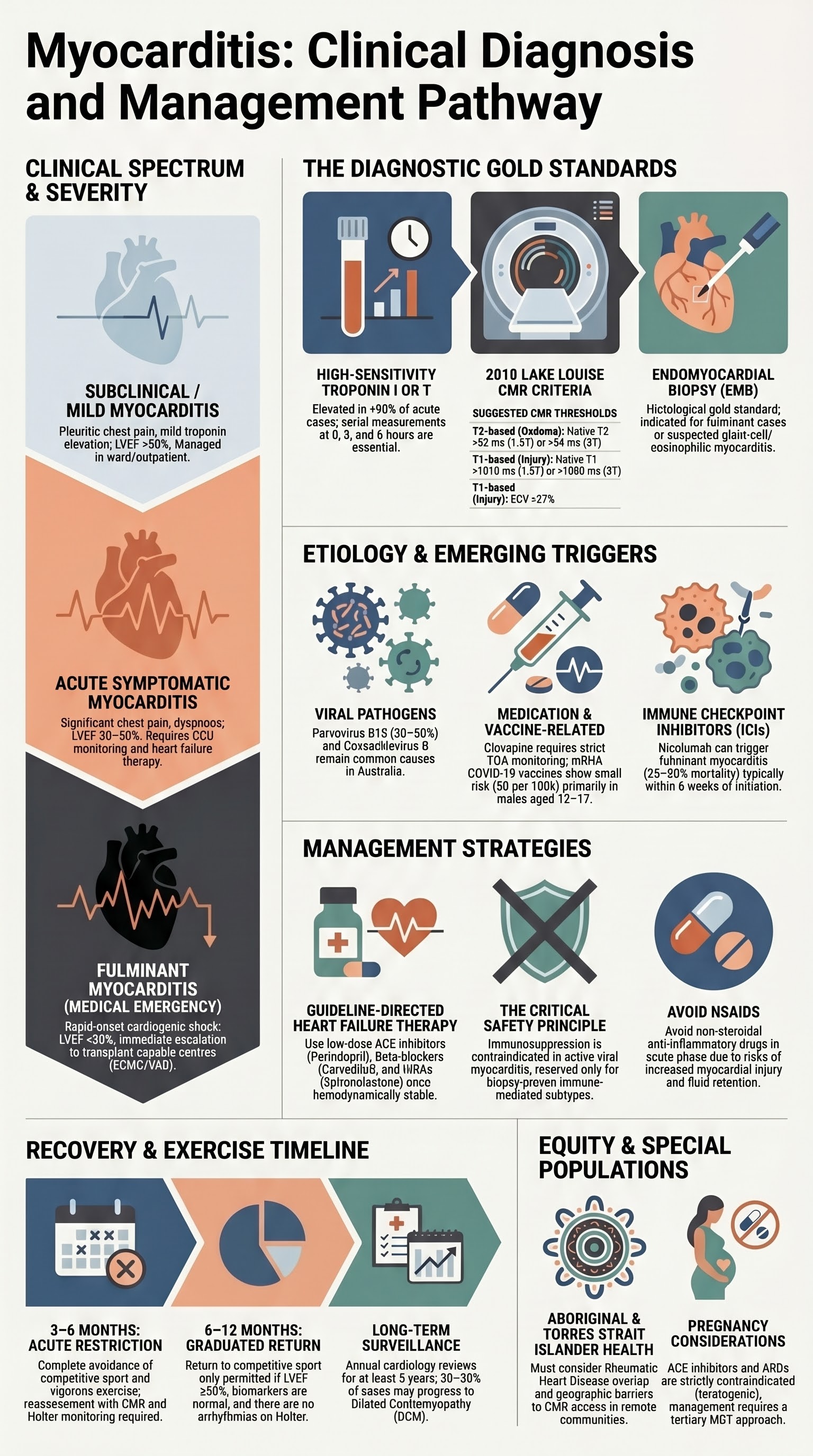 Myocarditis visual summary infographic