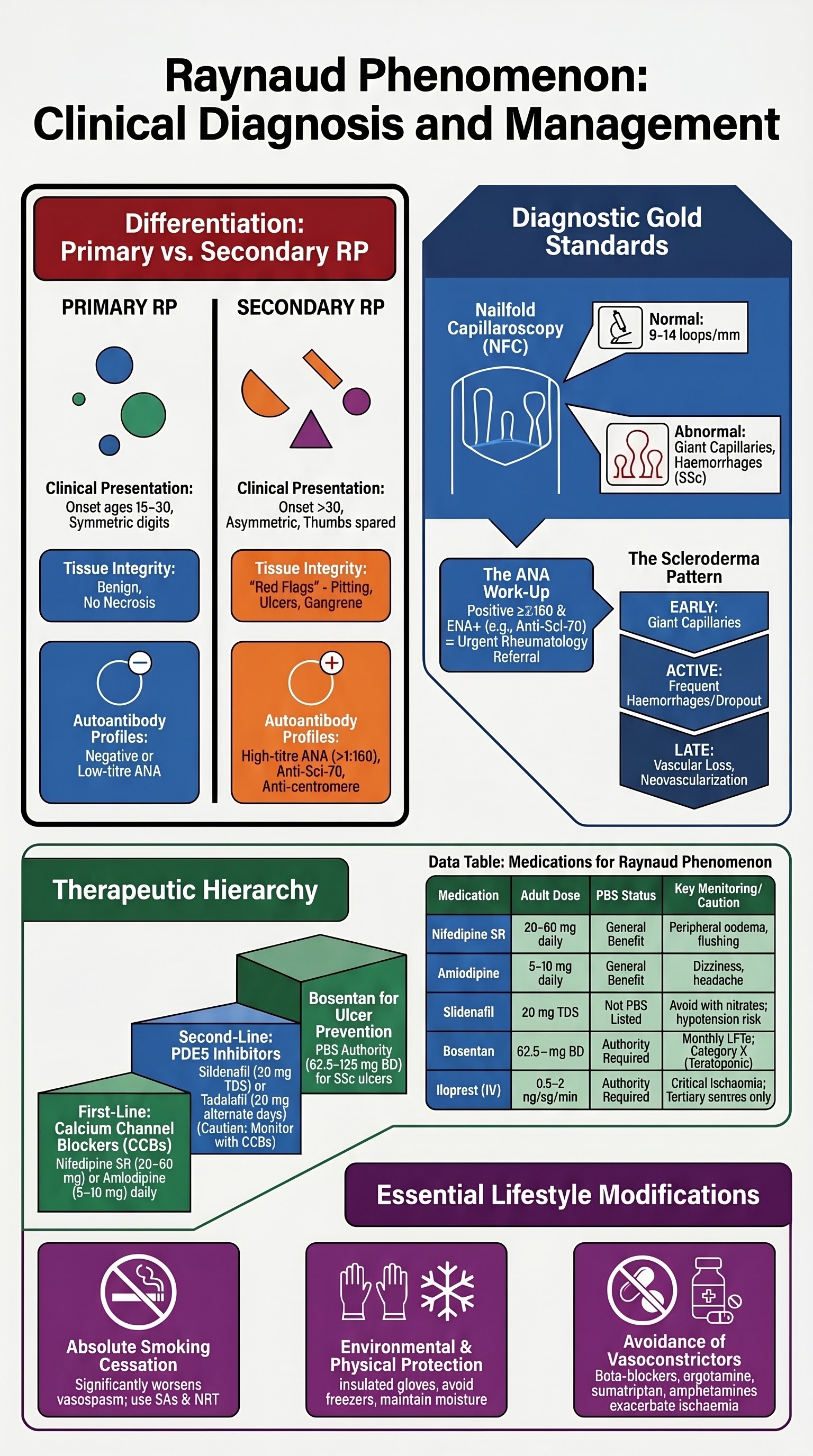 Raynaud Phenomenon visual summary infographic
